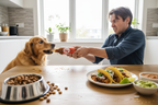 Street Taco Dog vs Human Tug of War